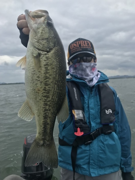 truth  ブログ写真 2019/05/18