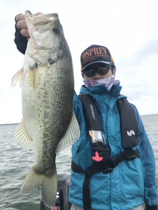 truth  ブログ写真 2019/05/18