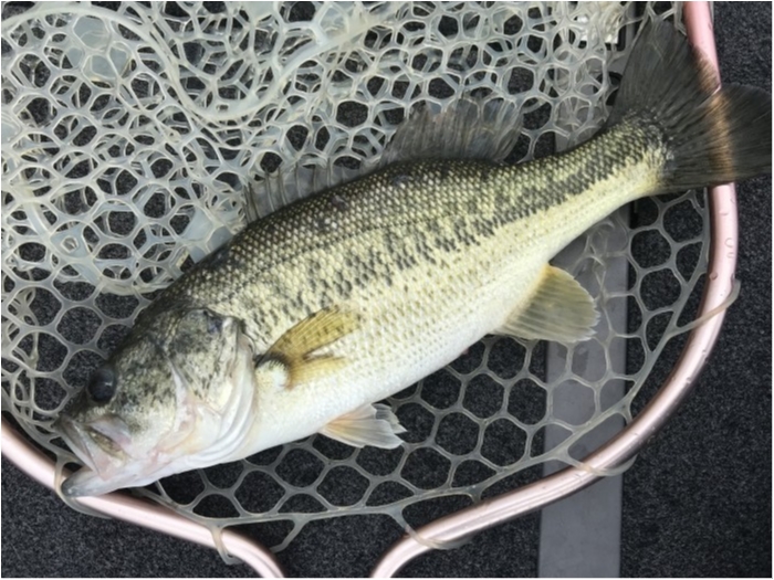 truth  ブログ写真 2019/05/19