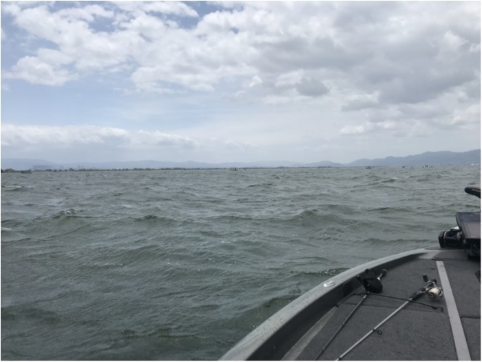 truth  ブログ写真 2019/05/19