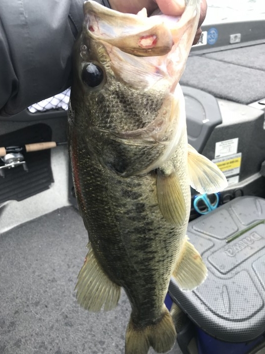 truth  ブログ写真 2019/05/19