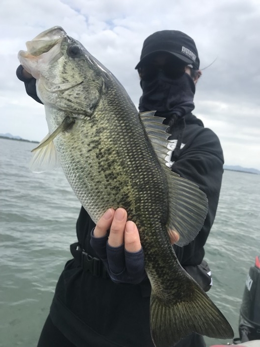 truth  ブログ写真 2019/05/21