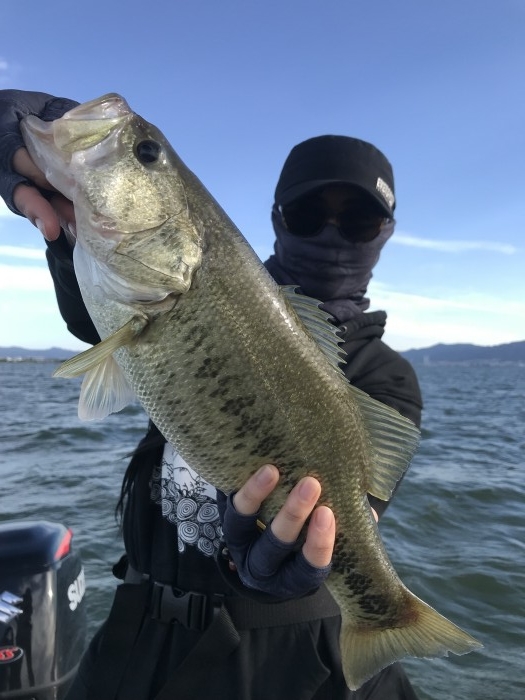 truth  ブログ写真 2019/05/21