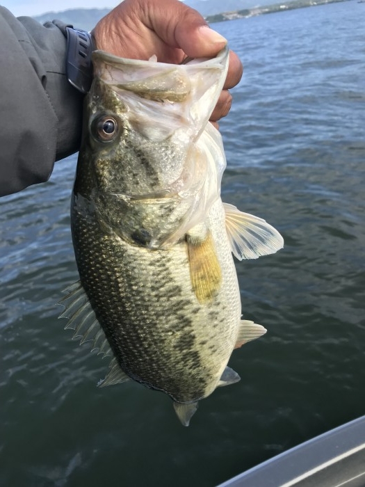 truth  ブログ写真 2019/05/22