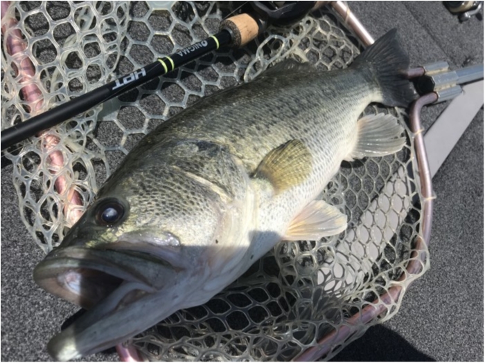 truth  ブログ写真 2019/05/22