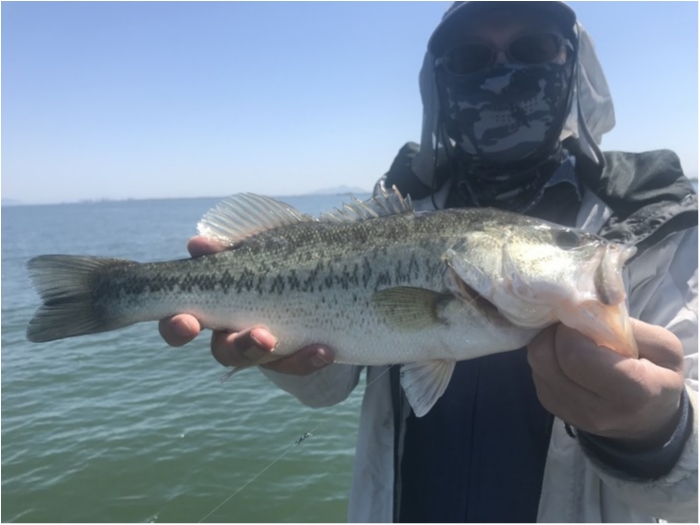 truth  ブログ写真 2019/05/23