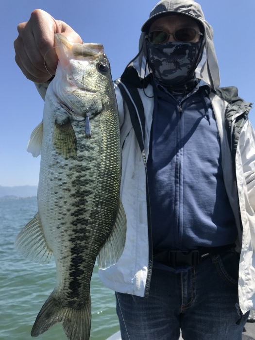 truth  ブログ写真 2019/05/23