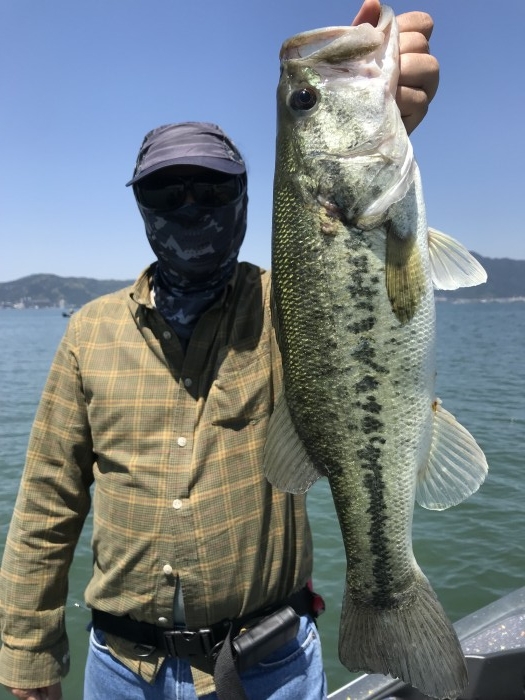 truth  ブログ写真 2019/05/23