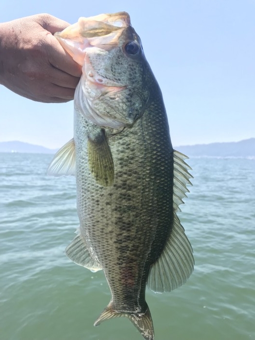 truth  ブログ写真 2019/05/24