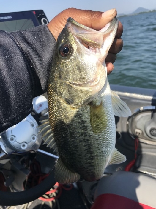 truth  ブログ写真 2019/05/24