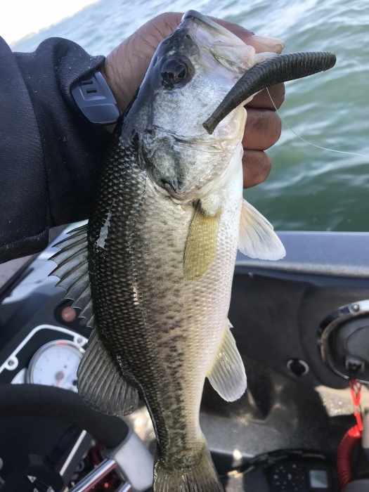 truth  ブログ写真 2019/05/24