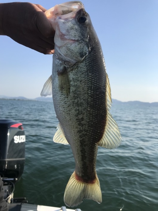 truth  ブログ写真 2019/05/24