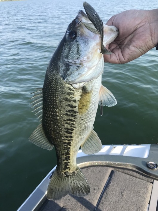 truth  ブログ写真 2019/05/24