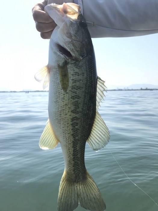 truth  ブログ写真 2019/05/25