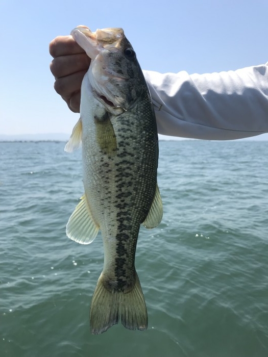 truth  ブログ写真 2019/05/25