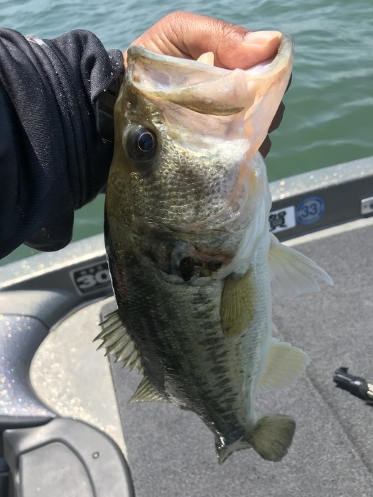 truth  ブログ写真 2019/05/25