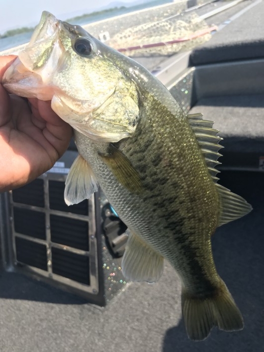 truth  ブログ写真 2019/05/25