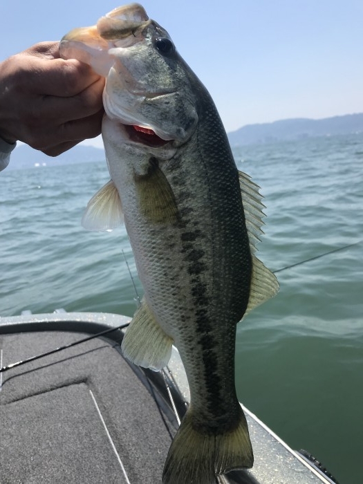 truth  ブログ写真 2019/05/25