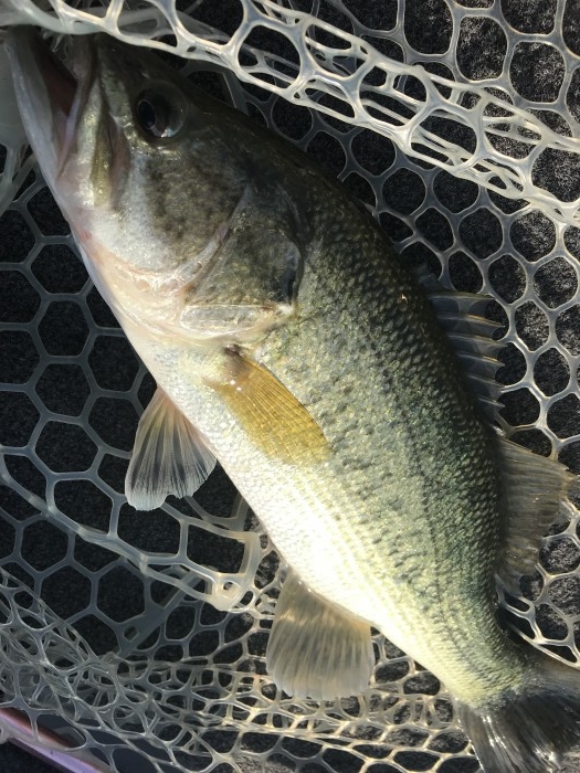 truth  ブログ写真 2019/05/25