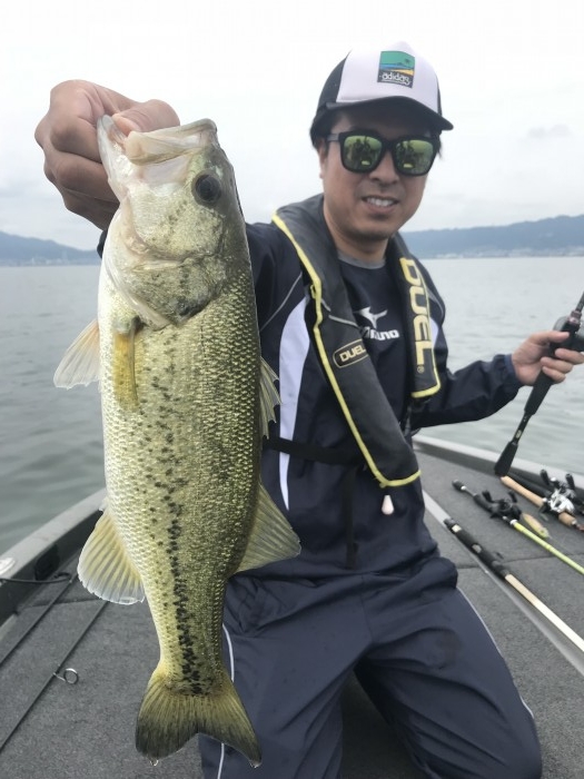 truth  ブログ写真 2019/06/05