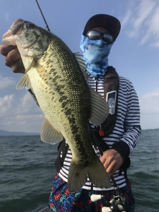 truth  ブログ写真 2019/06/05
