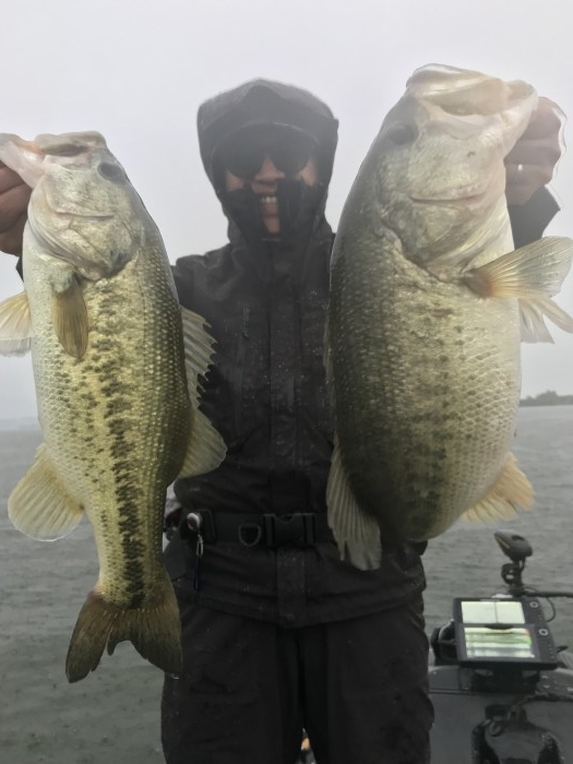 truth ブログ写真 2019/06/07