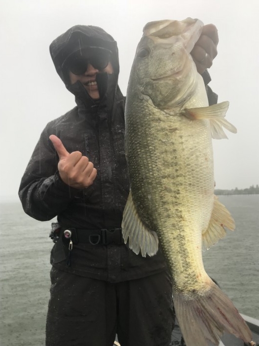 truth ブログ写真 2019/06/07