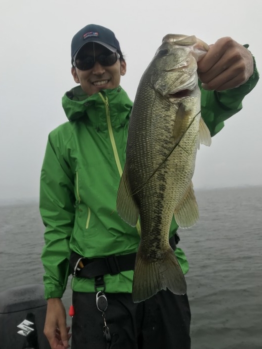 truth ブログ写真 2019/06/07