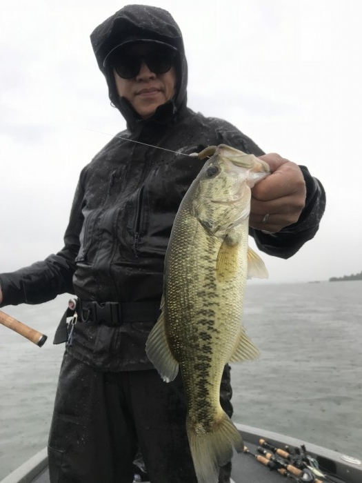 truth ブログ写真 2019/06/07