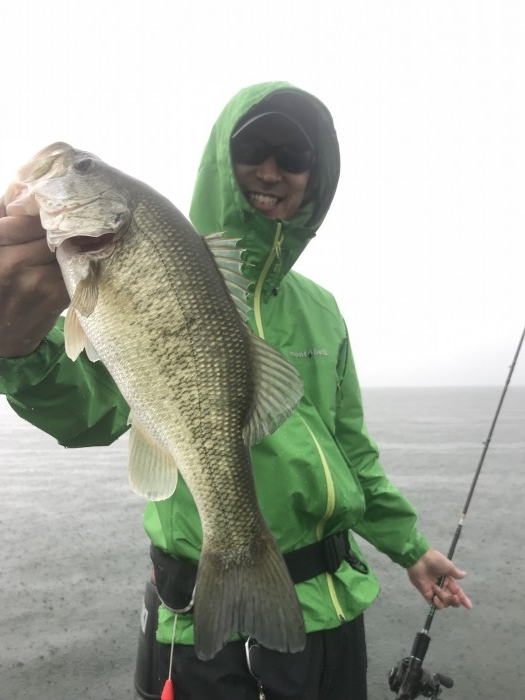 truth ブログ写真 2019/06/07