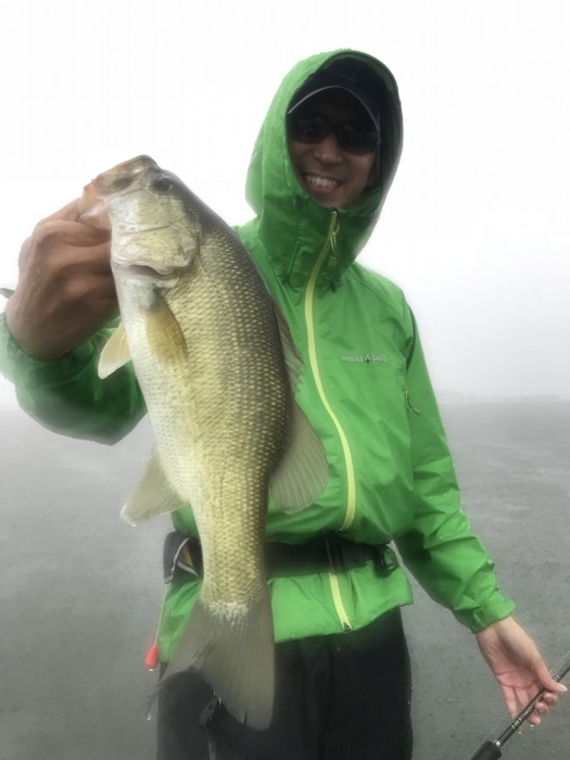 truth ブログ写真 2019/06/07