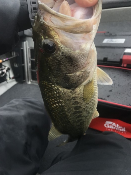 truth ブログ写真 2019/06/07