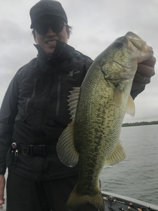 truth ブログ写真 2019/06/07