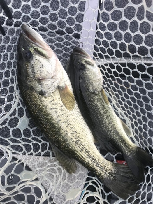 truth ブログ写真 2019/06/07