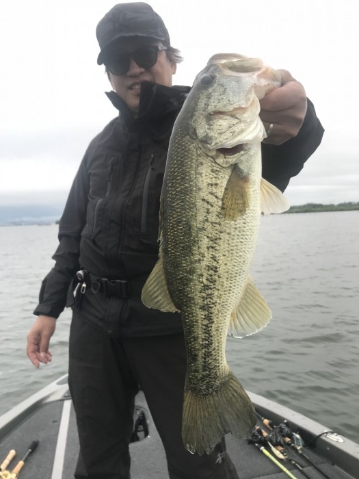 truth ブログ写真 2019/06/07