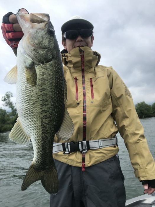 truth ブログ写真 2019/06/08