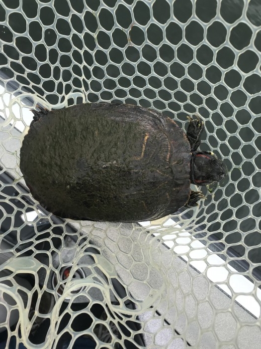 truth ブログ写真 2019/06/08