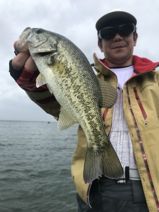 truth ブログ写真 2019/06/08