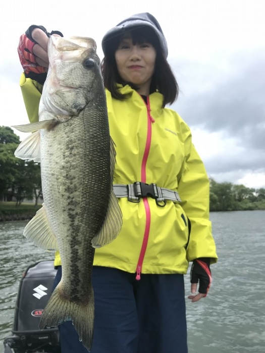 truth ブログ写真 2019/06/08