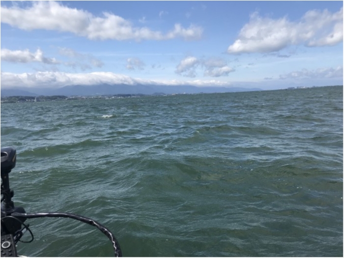 truth ブログ写真 2019/06/08