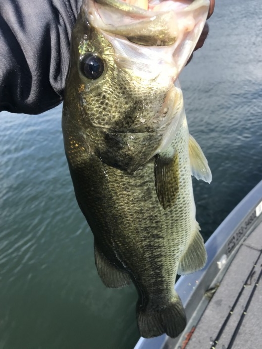 truth ブログ写真 2019/06/08