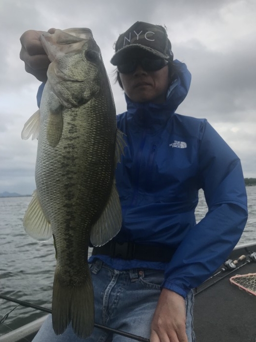 truth ブログ写真 2019/06/09