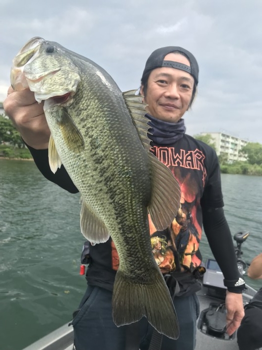 truth ブログ写真 2019/06/11