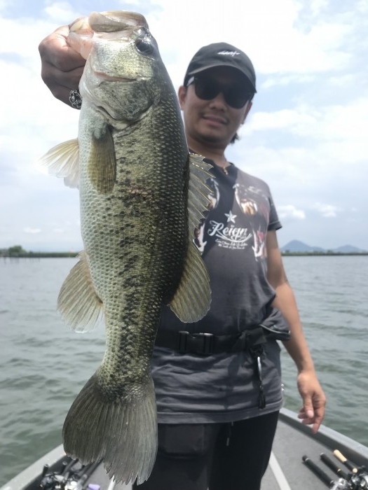 truth ブログ写真 2019/06/11