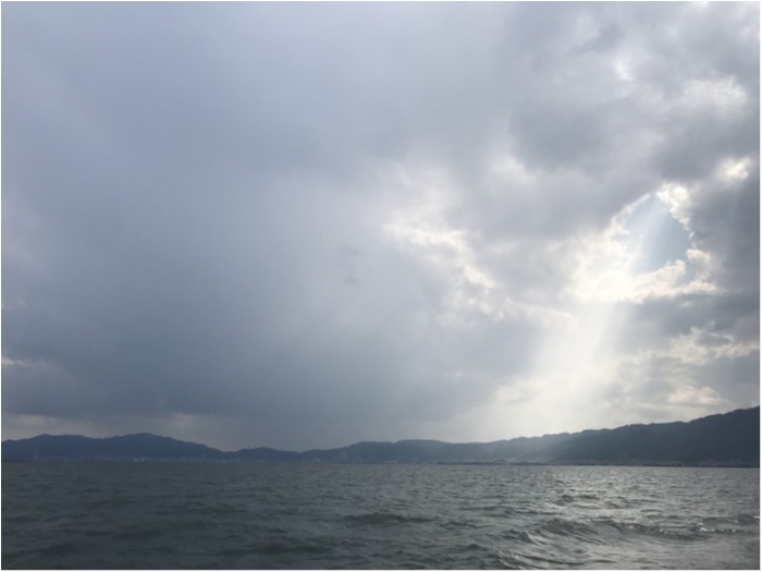 truth ブログ写真 2019/06/11