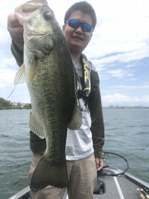 truth ブログ写真 2019/06/12