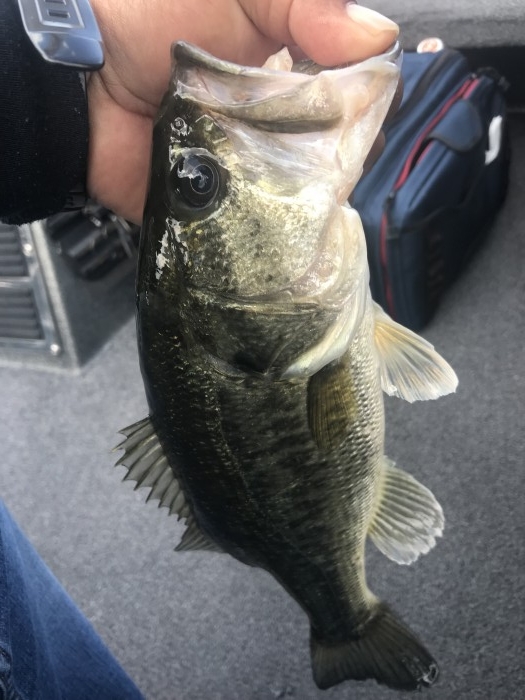 truth ブログ写真 2019/06/12