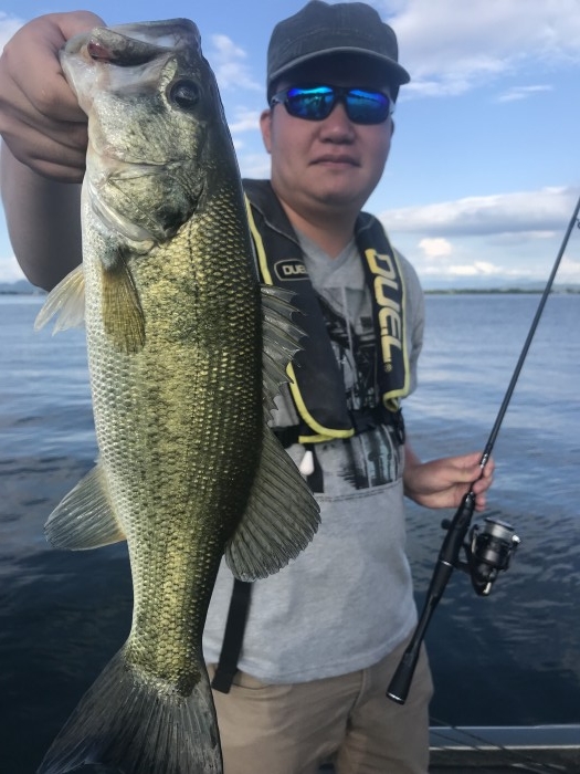 truth ブログ写真 2019/06/12