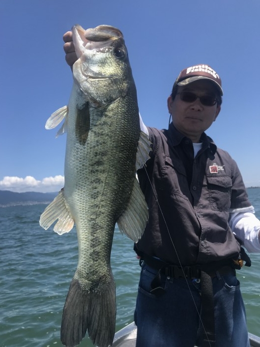 truth ブログ写真 2019/06/13