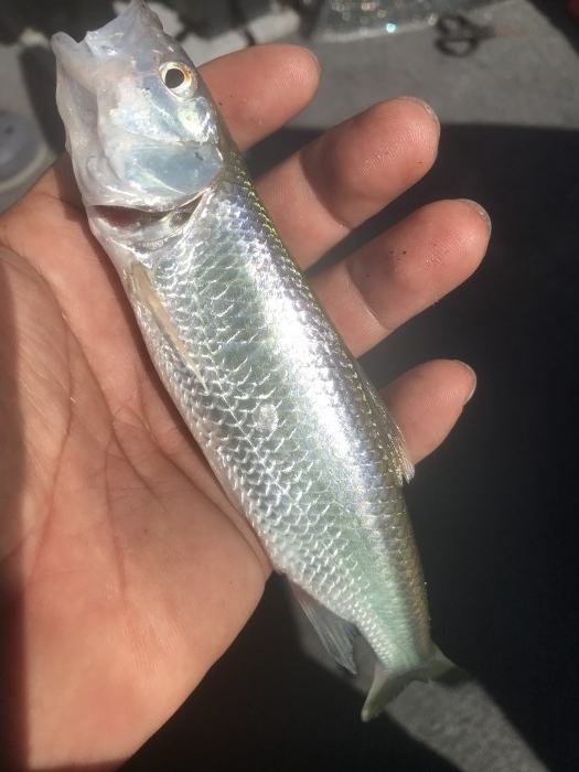 truth ブログ写真 2019/06/13